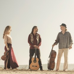 The Wild Strings Trio